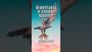 ARGENTAVIS O CONDOR GIGANTE [upl. by Rosalee75]