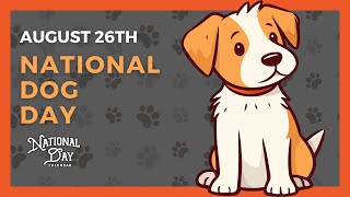 National Dog Day  August 26th  National Day Calendar [upl. by Almallah]