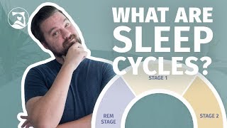 What Are Sleep Cycles  Everything You Need To Know [upl. by Aicat561]