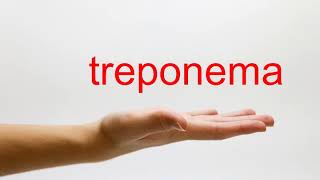 How to Pronounce treponema  American English [upl. by Ecnarwal570]