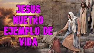 ACASO EL MODELO DE VIDA DE JESUCRISTO NO BASTA [upl. by Enaek352]