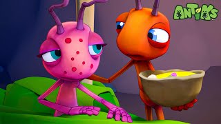 Antidote 🔴NEW EPISODE🔴 Funny Cartoons For All The Family  Funny Videos for kids  ANTIKS 🐜🌿 [upl. by Liebowitz367]