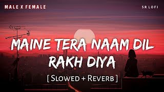 Maine Tera Naam Dil Rakh Diya Slowed  Reverb  Raghav Chaitanya Shreya Ghoshal  SR Lofi [upl. by Zampino952]