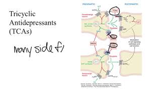 Antidepressant Pharmacology [upl. by Ryley848]