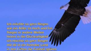 Ich möchte fliegen  © Bernd Töpfer Gedicht 213 [upl. by Sallad402]