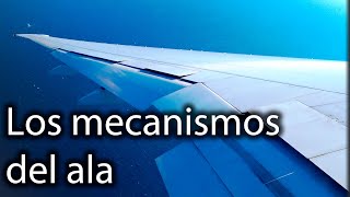 ¿Cómo controlamos el vuelo Todo sobre el ala [upl. by Eusadnilem]