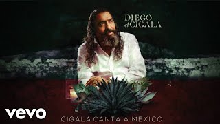 Diego El Cigala  Bésame Mucho Audio [upl. by Enilrac682]