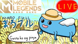 【モバレ】ついにアプデ来たので変わったキャラ試そうの会‼ 【ミシック★55～】Mobile legends [upl. by Tews412]