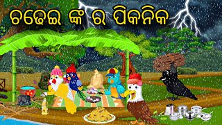 Chadhei nka Picnic \\ Odia Stories \\ Odia Gapa \\ Tiki Chadhei Gapa \\ Bird Story \\ Stories [upl. by Repmek993]