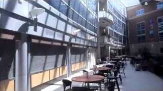 Virtual Tour of Guelph Campus  Part 1 [upl. by Langelo668]