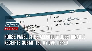 House panel cites allegedly questionable receipts submitted by OVP DepEd  ANC [upl. by Ainessej953]