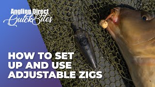 How To Set Up And Use Adjustable Zigs  Carp Fishing Quickbite [upl. by Bidget647]