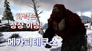 미친 화력 메가피테쿠스 멸종모드 24화 [upl. by Siesser]