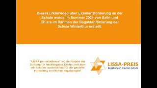 Erklärvideo über Exzellenzförderung Schule Winterthur [upl. by Marne]