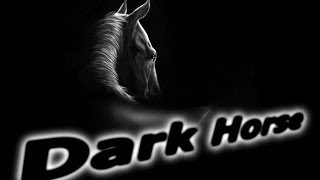 Katy Perry  Dark Horse Violin Cover by DSharp 2014 [upl. by Ibson]