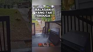 Balasan yang tak terduga shortvideo [upl. by Sices18]