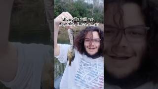 Bluegill eats swimbait twice its size [upl. by Nolte]