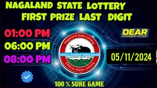 First Prize Last Digit 051124 Nagaland State Lottery Target Number Lottery Sambaed Target Number [upl. by Nodrog]