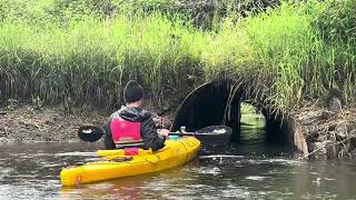 Kayaking Clatskanie River to the rotating bridge [upl. by Cordell]