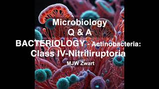 Microbiology QampA Bacteriology  Actinobacteria Class IV Nitriliruptoria [upl. by Sileas]