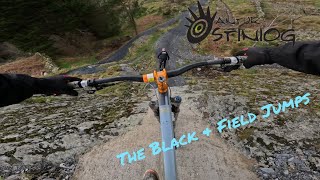 Antur Stiniog  The Black amp Field Jumps [upl. by Johm603]