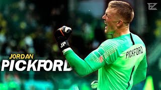 Jordan Pickford 2018 ▬ The Guardian • Amazing Best Saves  HD [upl. by Holleran619]