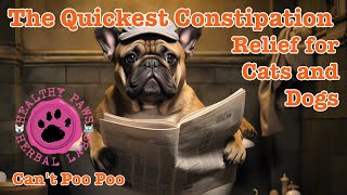 The Quickest Natural Constipation Relief for Dogs amp Cats [upl. by Ileek]