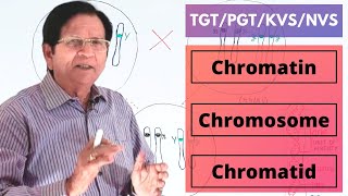 Chromatin Chromosome amp Chromatid  TGTPGTKVSNVS [upl. by Eimilb648]