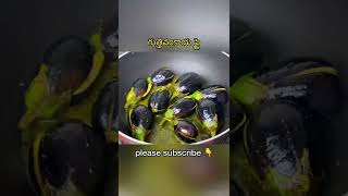 గుత్తివంకాయ ఫ్రై  Guthi vankaya fry recipe [upl. by Lajet]