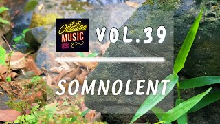 Somnolent  Gentle Resonance Relaxing Music for Peace  Vol 39 [upl. by Mapes301]