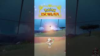 Capturando un Smeargle Shiny en Pokémon Escarlata pokemon smeargle shinydex [upl. by Bobina199]