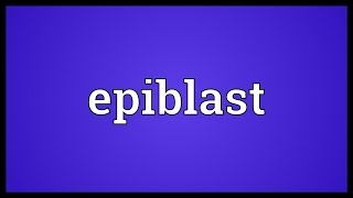 Epiblast Meaning [upl. by Nerte708]