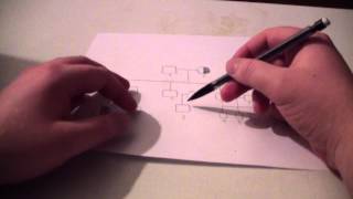 LeschNyhan Syndrome Genetic Disorder Pedigree Chart [upl. by Eenel288]