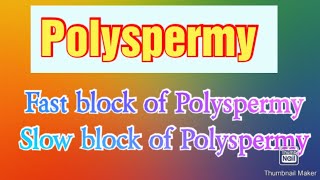 What is PolyspermyMechanism of Polyspermy  Slow block amp Fast block PolyspermyDevelopmental Bio [upl. by Nehtanoj]