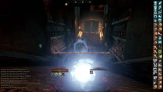 Mortal Online 2 Sator Dungeon Pillows vs Dire Wolves Mage PoV [upl. by Kciregor]