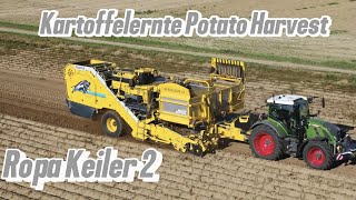 Kartoffelernte Potato Harvest Ropa Keiler 2 🥔 [upl. by Novanod]