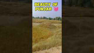 Karachi to chichawatni Part 2 Beauty of Punjab 💓shortsfeed allamaiqbal youtubeshorts train [upl. by Bel]