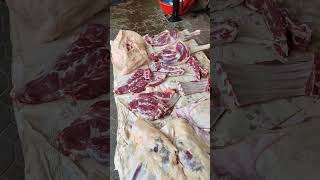 gissar lambs food lambgoat animals qoyboqish gosht lamb qoy goat [upl. by Dot712]