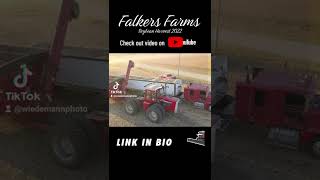 Falkers Farms I Soybean Harvest 2022 [upl. by Terry]