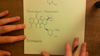 DNA Intercalaters Part 1 [upl. by Lhary]