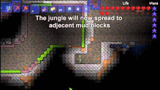 Terraria  Create a Jungle Farm 103 Jungle Seeds [upl. by Amary]