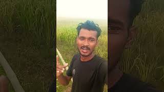 Ruk Ruk Re trainen Ashish Lal Yadav ke song short video YouTube englishsongs vyrloriginals titl [upl. by Rowena]