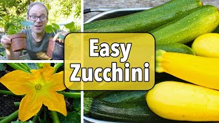 Growing Zucchini Courgettes from Sowing to Harvest [upl. by Holmann645]