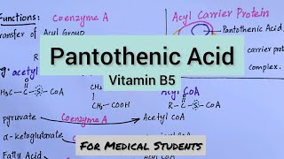 Pantothenic Acid  Functions Dietary Sources Deficiency Manifestations [upl. by Donohue908]