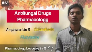 26 Pharmacology of Antifungal Drugs in தமிழ்  Amphotericin B  Griseofulvin  Flucytosine [upl. by Ahsiekit]