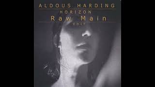 Aldous Harding  Horizon Raw Main Edit [upl. by Eirrek]