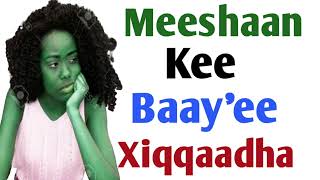 Meeshaankees Baayee Xiqqoodha [upl. by Alitta]