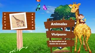 Animales Ovíparos y Vivíparos [upl. by Moe668]