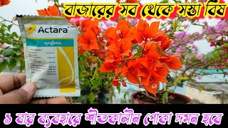 একতারা কীটনাশকের সঠিক ব্যবহার  Use of Aktara Pesticide  Syngenta  Best Insecticide in Market [upl. by Eenafit224]