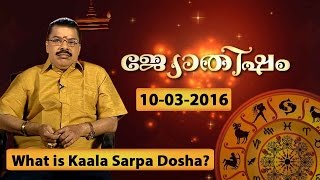 What is kala sarpa dosha  dosham   JYOTHISHAM 10 03 2016  Kaumudy TV [upl. by Ramirol]